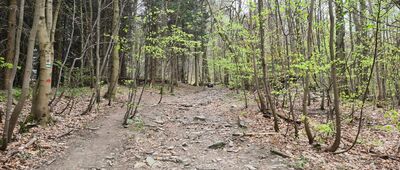 Radhošť, hřeben ↔ Ráztoka, turisticka chata, rozc.