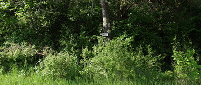 Odejście do Chatki Malucha [Rozejście do Chatki na Ropiance]