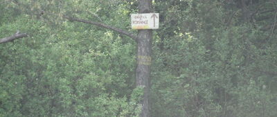 Odejście do Chatki Malucha [Droga na chatkę na Ropiance]