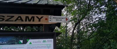 Początek ścieżki Rogasiowy Szlak