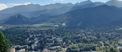 Skrzyżowanie szlaków ↔ Zakopane, Walowa Góra