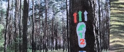 Droga pożarowa nr 46