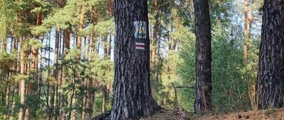 Droga pożarowa nr 46 ↔ Wronki