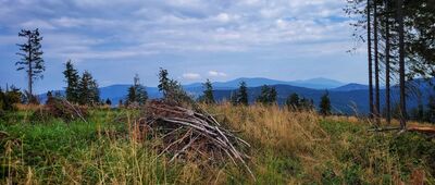 Bednarów Beskid ↔ Podoszust, rozejście szlaków