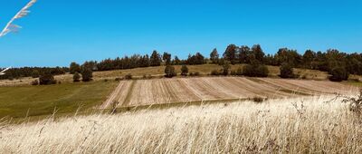 Glinno, rozwidlenie ↔ Nad Kroacką Studzienką