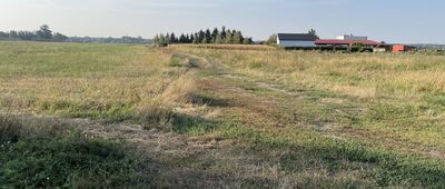 Mała Nieszawka, ruiny zamku ↔ Mała Nieszawka, ul. Topolowa