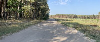 Cierpice Kąkol ↔ Rozejście szlaków