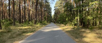 Rozejście szlaków ↔ Jarki