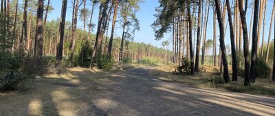 Jarki ↔ Rozejście szlaków