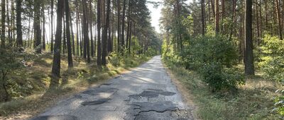 Rozejście szlaków ↔ Rozejście szlaków