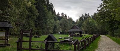 Oberówka, odejście ścieżki edukacyjnej