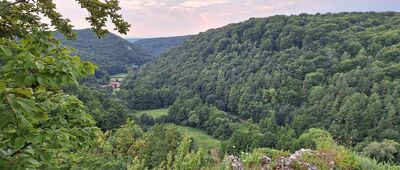 Będkowice ↔ Brama Będkowska [Rogata Grań. Widok na Dolinę Będkowską]