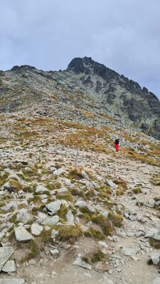 Widok na Łomnicę z Lomnicke Sedlo