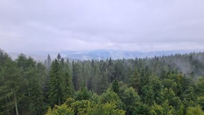 Panorama z wieży widokowej na górze Modyń - widok na stronę południową