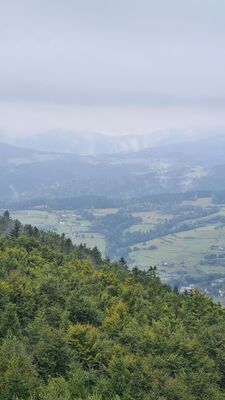 Widok z wieży widokowej na Modyni