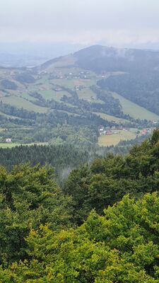 Widok z wieży widokowej na Modyni