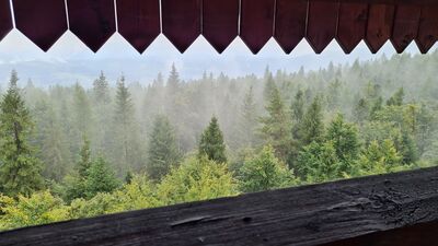 Widok z wieży widokowej na Modyni