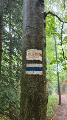 Mylące oznaczenie Głównego Szlaku Beskidu Wyspowego, który z daleka wygląda jak szlak żółty