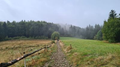 Niebieski szlak na Modynię