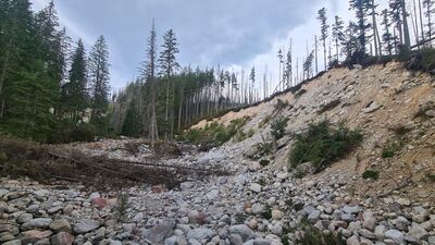 Sucha Woda Gąsienicowa - jak widać na załączonym obrazku :)