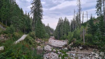 Czarny szlak w Dolinie Suchej Wody