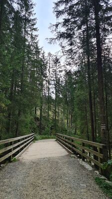 Czarny szlak w Dolinie Suchej Wody