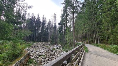 Czarny szlak w Dolinie Suchej Wody