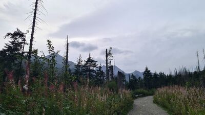 Czarny szlak w Dolinie Suchej Wody - przed nami Pośrednia Turnia, a trochę w lewo Świnica