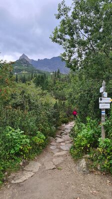 Rozejście szlaków w Hali Gąsienicowej i widok na Kościelec i Świnicę