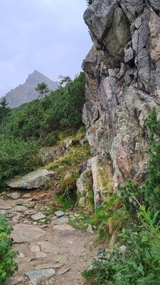 Niebieski szlak do Czarnego Stawu Gąsienicowego - w oddali Kościelec