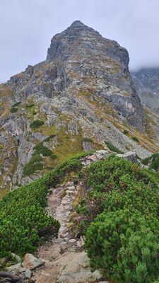 Widok na Kościelec z czarnego szlaku na Karb