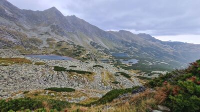 Widok na Dolinę Zieloną Gąsienicową z Przełęczy Karb