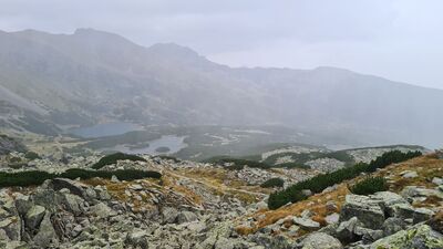 Widok na Dolinę Zieloną Gąsienicową z niebieskiego szlaku spod Przełęczy Karb