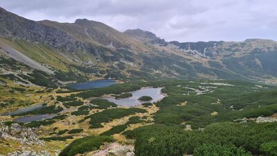 Widok na Dolinę Zieloną Gąsienicową z niebieskiego szlaku spod Przełęczy Karb