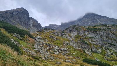 Kościelec i Świnica z niebieskiego szlaku pod Przełęczą Karb