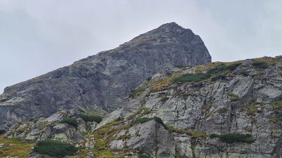 Kościelec z niebieskiego szlaku pod Przełęczą Karb
