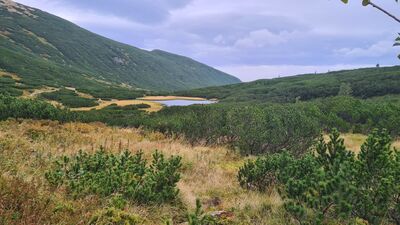 Litworowy Staw Gąsienicowy