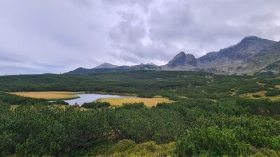 Litworowy Staw Gąsienicowy