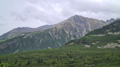 Żółta Turnia z Doliny Zielonej Gąsienicowej