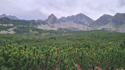 Panorama w Dolinie Zielonej Gąsienicowej