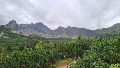 Panorama w Dolinie Zielonej Gąsienicowej