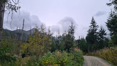 Czarny szlak w Dolinie Suchej Wody