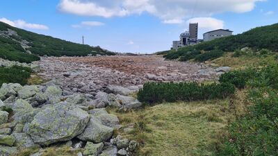 Praktycznie całkiem wyschnięty Łomnicki Staw