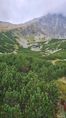 Widok na Przełęcz Łomnicką przy Stawie Łomnickim