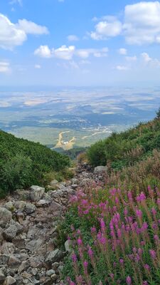 Wyschnięty Łomnicki Potok