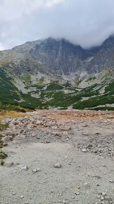 Praktycznie całkiem wyschnięty Staw Łomnicki