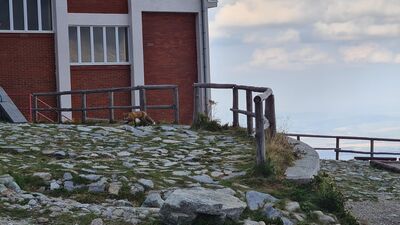 Jeden z wielu lisów przy Łomnickim Stawie