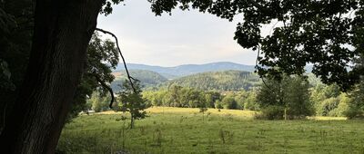 Park Strzelecki ↔ Przełęcz pod Krępcem