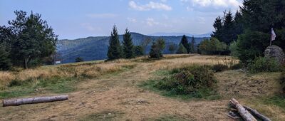 Potrójna [Beskid Mały - Potrójna: widok w stronę Łamanej Skały]