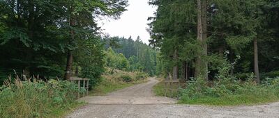 Dolina Srebrnika, rozejście szlaków